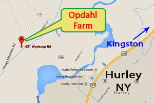 Updahl Farm in Hurley NY Map